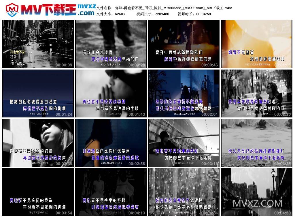 郭峰-再也看不见_国语_流行_MB505358